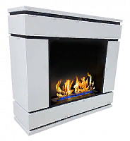 Биокамин Zefire Алистер