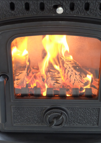 Печь-камин FireBird Dingo 5 кВт