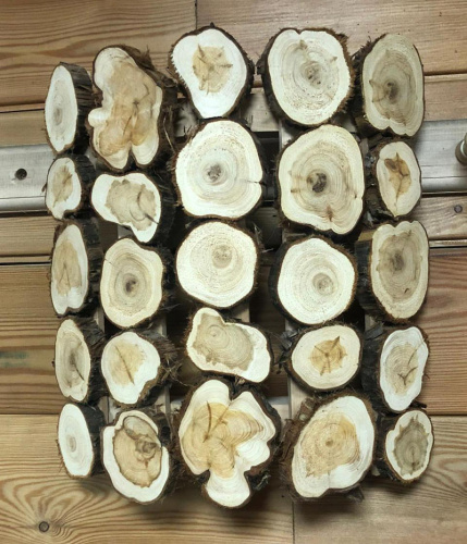 Абажур угловой спилы можжевельника (на ольхе) 